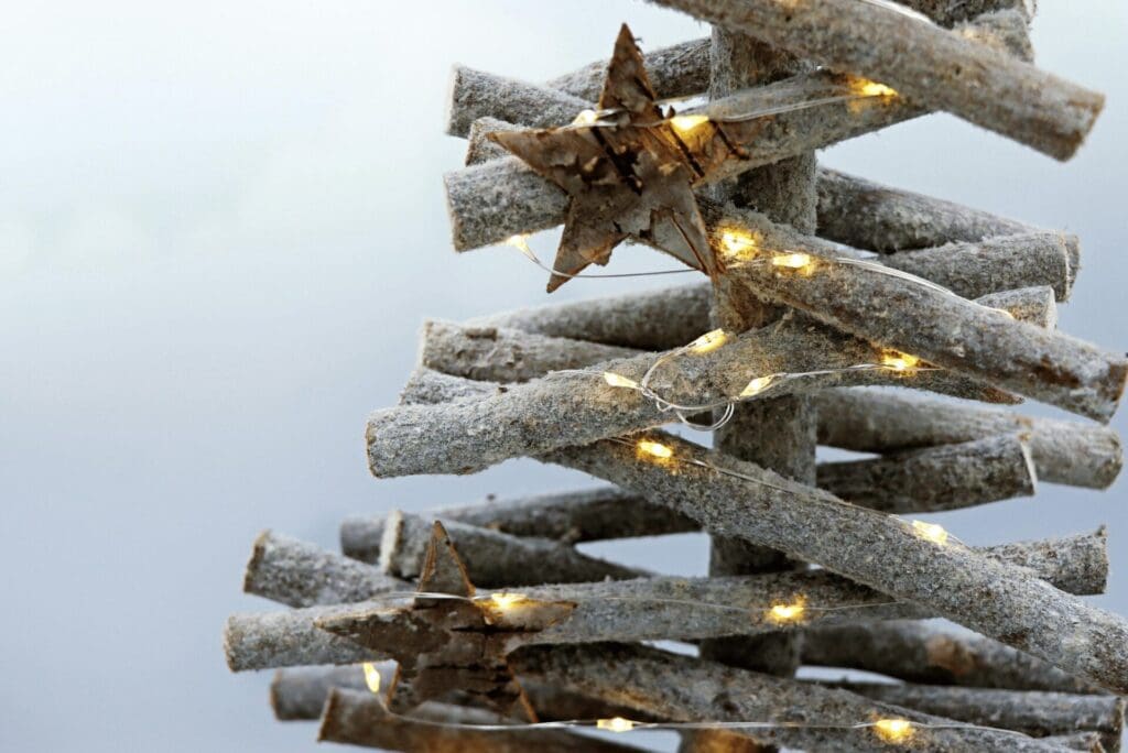 sapin bois