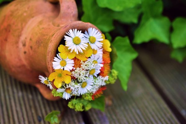 4_idees_pour_associer_la_couleur_terracotta_dans_votre_deco_nbsp.jpg