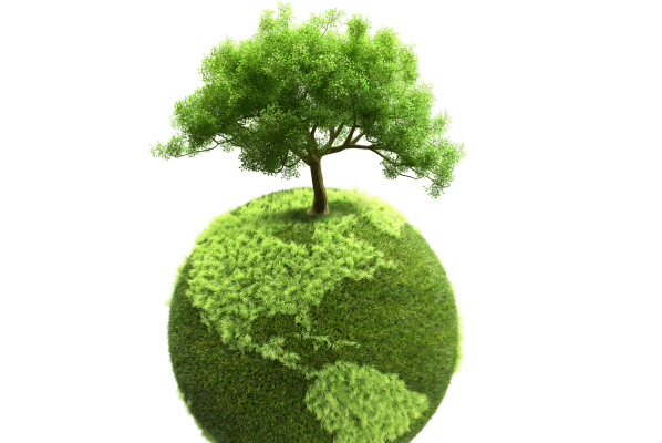 arbre vert