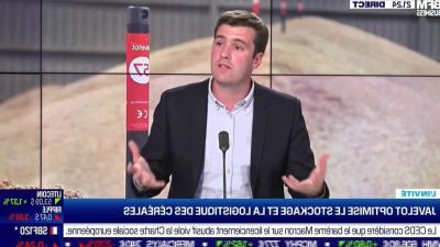 bonduelle-en-bourse-analyse-dune