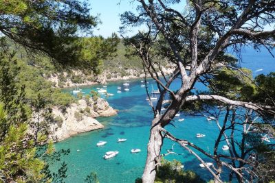 chiner-dans-le-rhone-guide