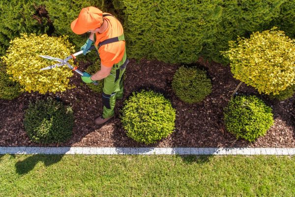 formations-environnementales-comment-devenir-un-acteur