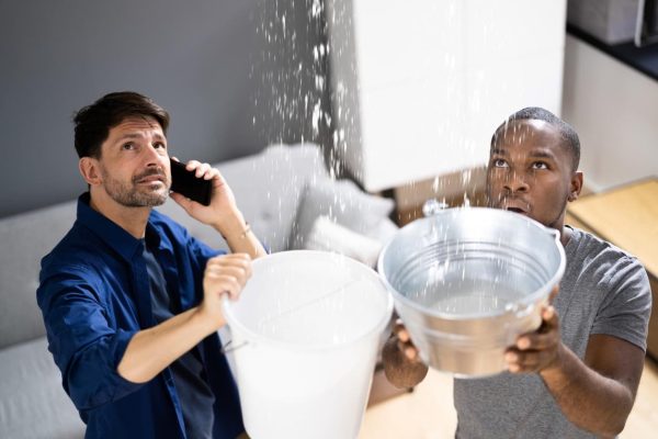 iStock-1331625789.jpg