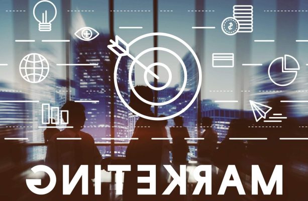 la-mission-du-directeur-marketing-optimiser