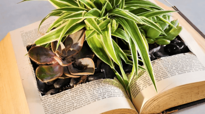 le-bricolage-en-entreprise-comment-cultiver