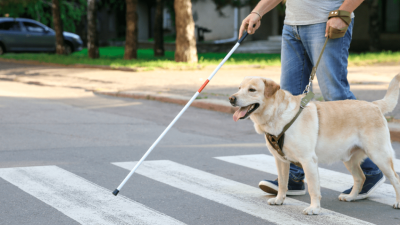 le-salaire-dun-educateur-canin