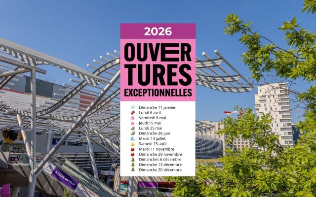 découvrez notre avis complet sur mon vaul 2026, ses fonctionnalités, atouts et nouveautés pour bien préparer votre année.