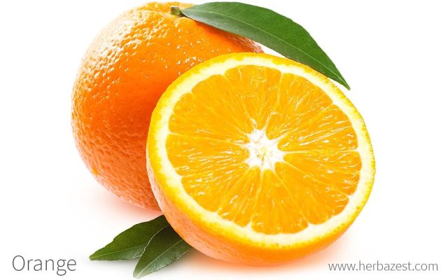 Orange : Guide complet pour activer et désactiver le transfert d’appel en toute simplicité