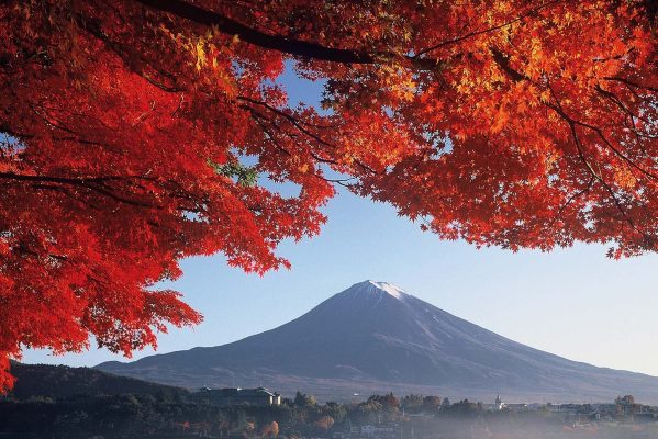 quels-etf-japonais-sont-eligibles-au